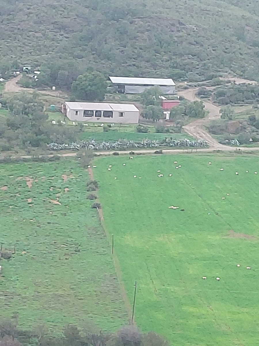 4 Bedroom Property for Sale in Oudtshoorn Rural Western Cape
